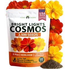 Bright Lights Cosmos Seeds - 2,500 Seeds - Easy-Grow Annual Mix