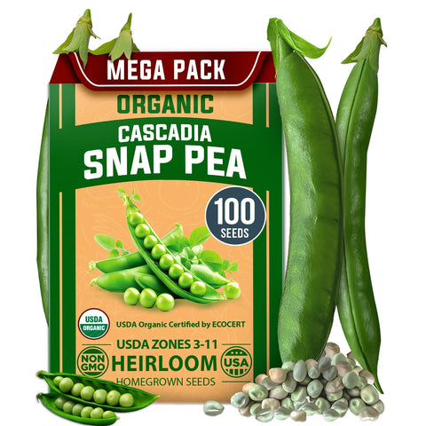 Organic Cascadia Snap Pea Seeds - 100 Seeds - Sweet Stringless Pods