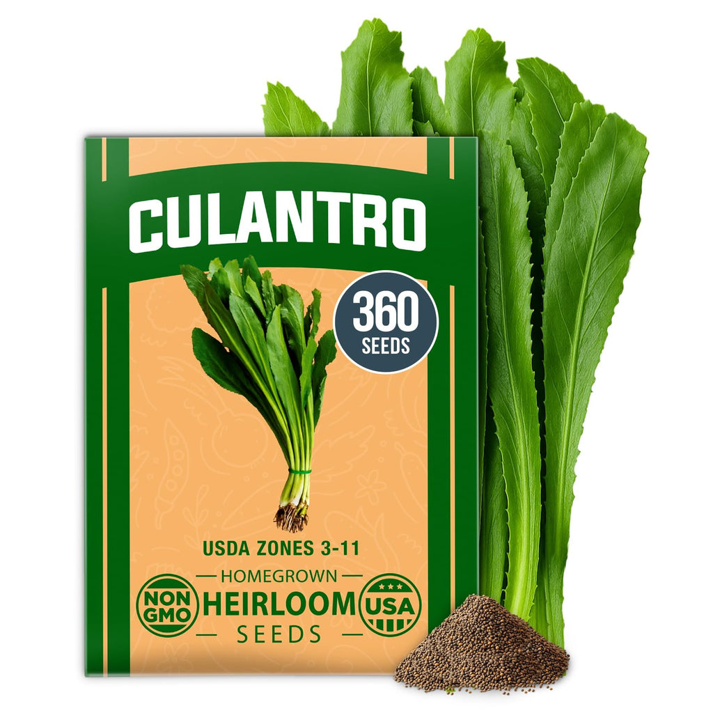 Culantro Seeds - 360 Seeds - Bold Recao Flavor