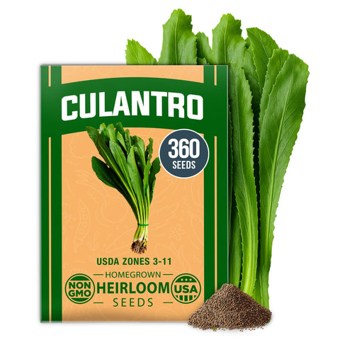 Culantro Seeds - 360 Seeds - Bold Recao Flavor
