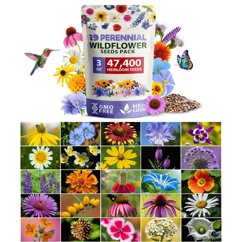 Wildflower Seed Mix - 47,400+ Seeds - 19 Annual & Perennial Varieties