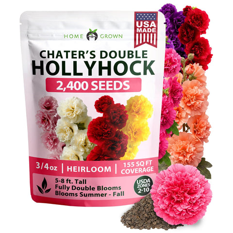 Chater's Double Hollyhock Seeds - 2,400 Seeds - 5-8 ft Double Blooms