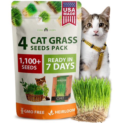 Cat Grass Seed Pack - 4 Varieties - USA-Harvested