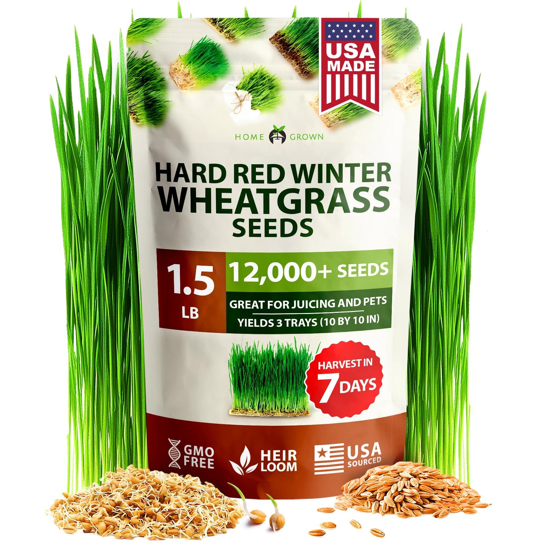 Hard Red Winter Wheatgrass Seeds - 1.5 lb (~12,000 Seeds)