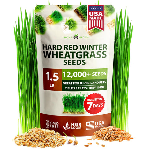 Hard Red Winter Wheatgrass Seeds - 1.5 lb (~12,000 Seeds)