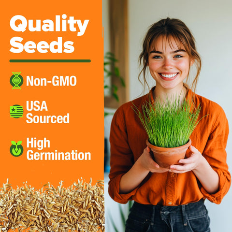 Cat Grass Seed Pack - 4 Varieties - USA-Harvested