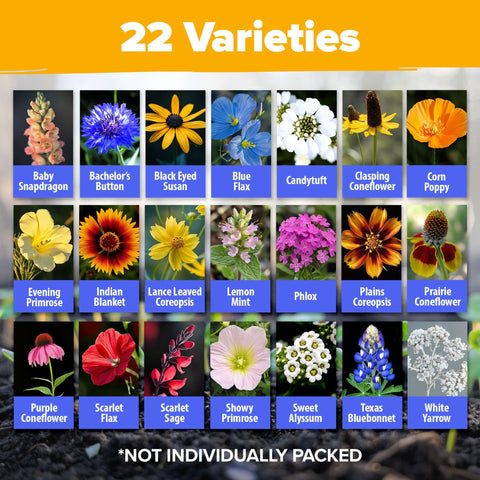 Texas Wildflower Seed Mix (3 oz) - Pure Seed, No Filler