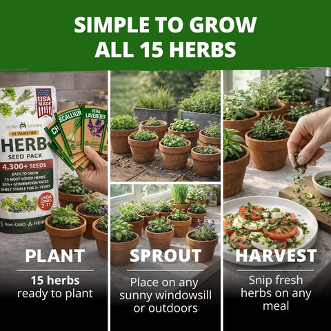 Culinary Herb Seed Vault - (15 Variety)