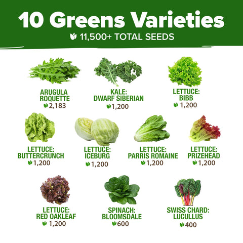 Lettuce and Leafy Greens Seeds - (10 Variety)