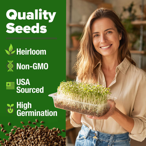 Alfalfa Sprouting Seeds - 16 oz - Non-GMO USA Grown