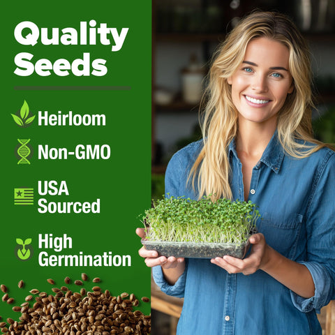 Broccoli Sprouting Seeds - 8 oz - Non-GMO USA Grown