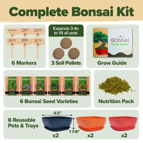 Bonsai Starter Kit - 6 Seed Varieties