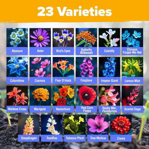 Wildflower Seed Mix - 89,000+ Seeds (2 oz) - 23 Varieties