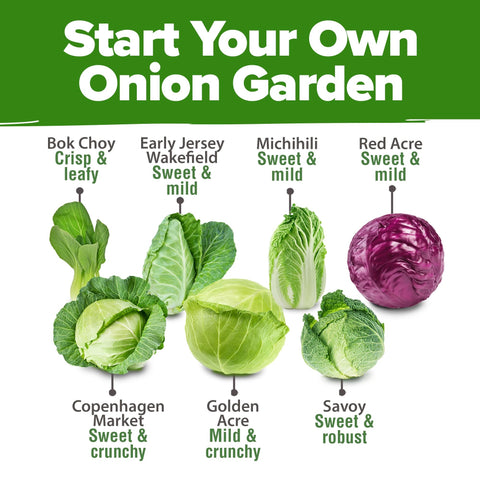 Cabbage Seed Pack - 7 Varieties (2,000+ Seeds) - Heirloom Mix
