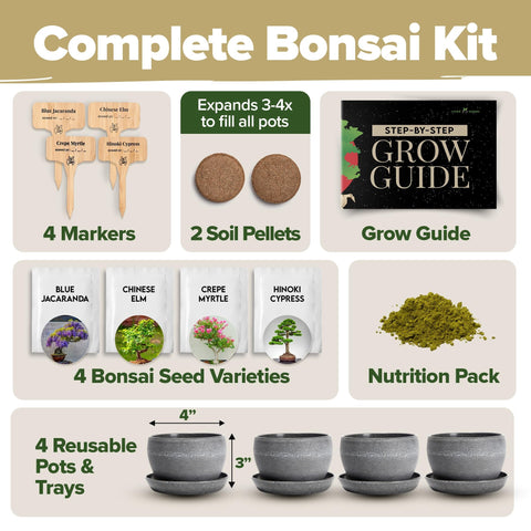 Deluxe Bonsai Tree Kit