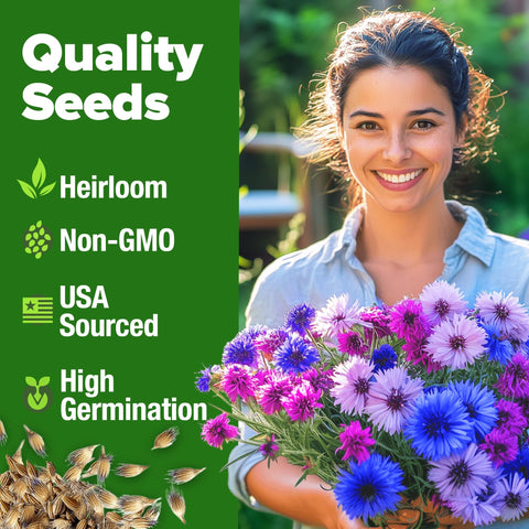 Bachelor's Button Seeds Mix - 700 Seeds - Tall Wildflower Blend
