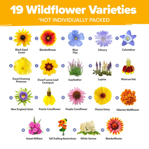 Wildflower Seed Mix - 47,400+ Seeds - 19 Annual & Perennial Varieties
