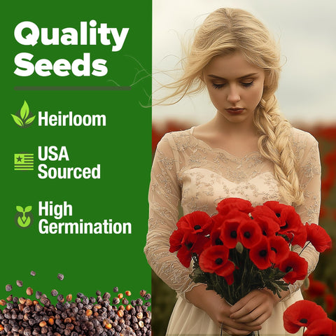 American Legion Poppy Seeds - 6,000 Seeds - Brilliant Red Blooms