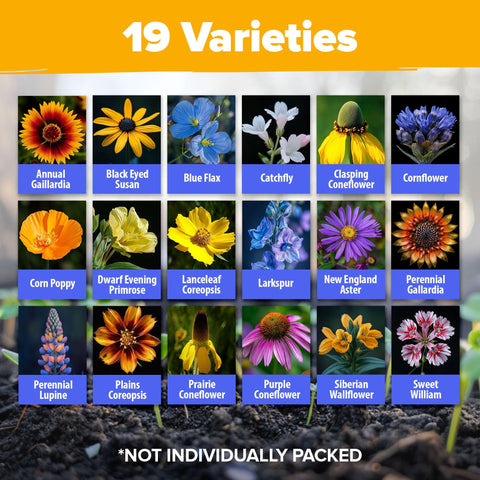 Midwest Wildflower Seed Mix - 19 Varieties (4 oz)