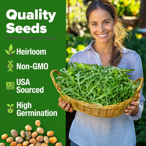 Arugula Seeds - 4,350 Seeds (2-Pack) - Fast-Growing Salad Green