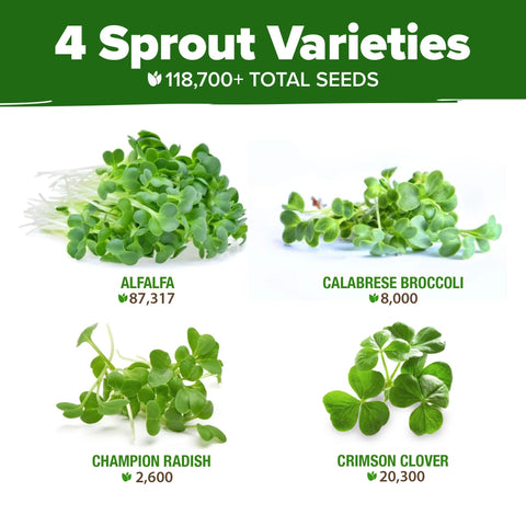 Sprouts and Microgreens Seeds Bulk Mix (16oz)