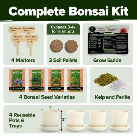 Bonsai Tree Grow Kit