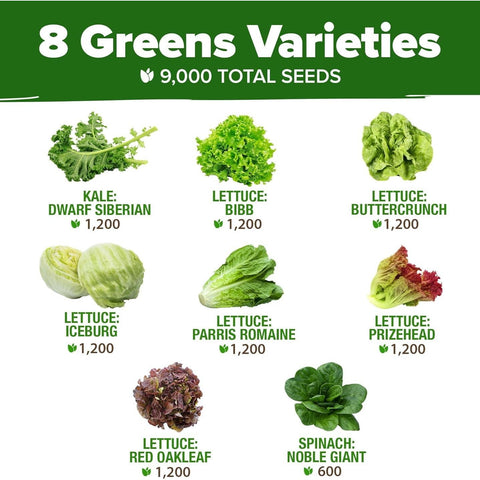 Lettuce and Leafy Greens Seeds - (8 Variety)