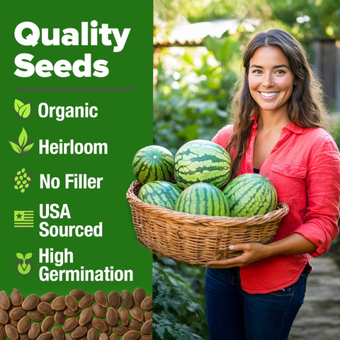 Organic Crimson Sweet Watermelon Seeds - 15 Seeds - 20-25 lb Melons