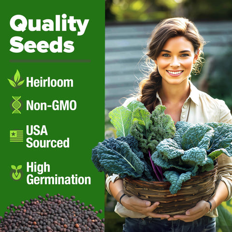 Kale Seed Pack - 4 Varieties (700+ Seeds)