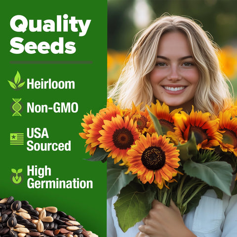 Autumn Beauty Sunflower Seeds - 40 Seeds - Multi-Color Blooms