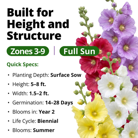 HOME GROWN Hollyhock Single Mix Planting Seeds 2026 29g 1oz 3000 Seeds Open Pollinated Flower Seed Heirloom Non GMO Deer Resistant Self Seeding Zones 3 9