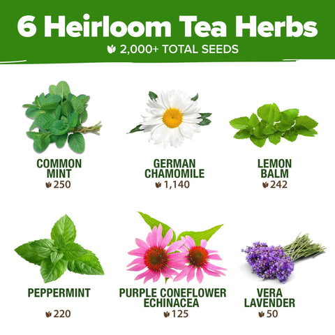 Herbal Tea Seed Pack - (6 Variety)