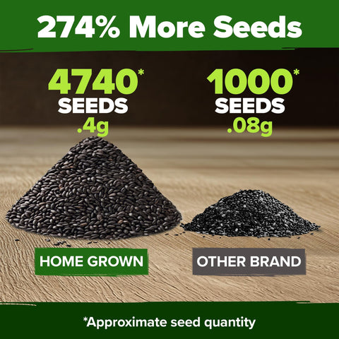 Peppermint Seeds - 4,740 Seeds (2-Pack) - Classic Tea Herb