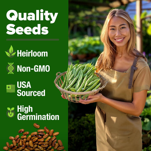 Contender Bush Bean Seeds - 28 Seeds - Stringless Heirloom