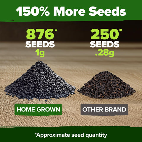 Thai Basil Seeds - 876 Seeds (2-Pack) - Aromatic Heirloom