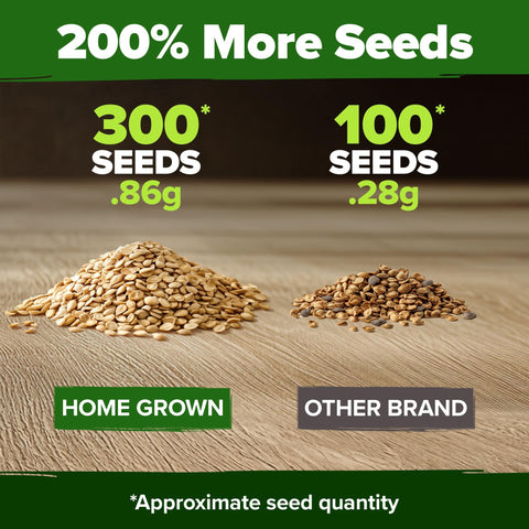 Beefsteak Tomato Seeds - 300 Seeds - Classic Heirloom Slicer