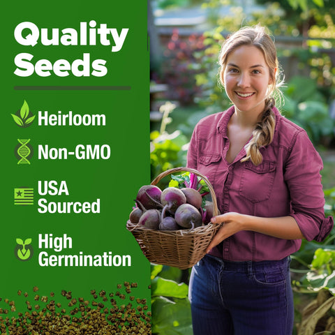 Detroit Dark Red Beet Seeds - 500 Seeds - Sweet Heirloom Roots