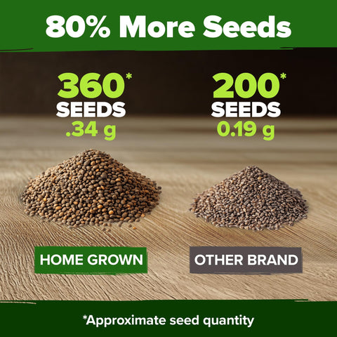 Culantro Seeds - 360 Seeds - Bold Recao Flavor