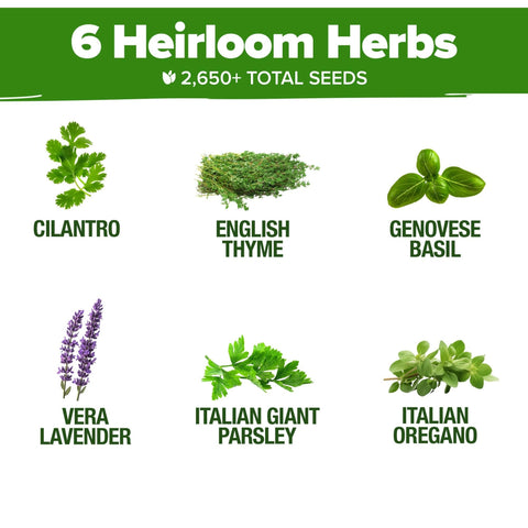 Herb Seed Pack - 6 Culinary Varieties - Indoor & Outdoor