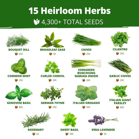 Culinary Herb Seed Vault - (15 Variety)