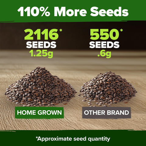 Catnip Seeds - 2,116 Seeds - Heirloom Cat Herb