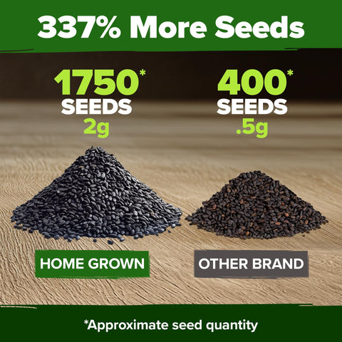 Genovese Basil Seeds - 1,750 Seeds - Classic Italian Heirloom