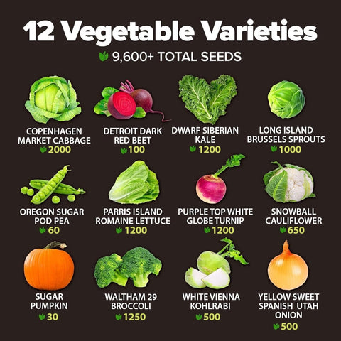 Fall & Winter Vegetable Seed Pack - 12 Varieties (9,600+ Seeds)
