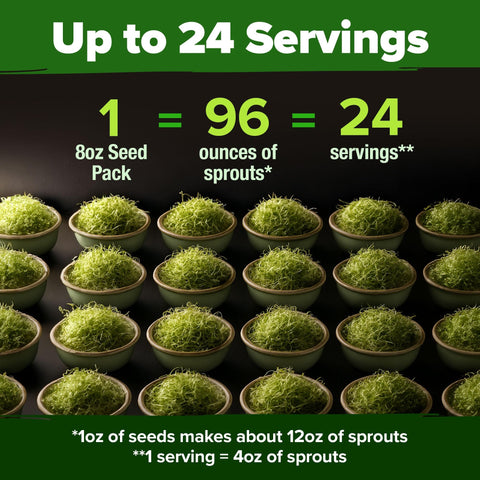 Broccoli Sprouting Seeds - 8 oz - Non-GMO USA Grown