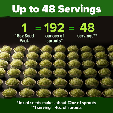Alfalfa Sprouting Seeds - 16 oz - Non-GMO USA Grown
