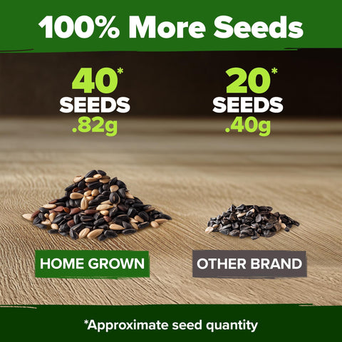 Autumn Beauty Sunflower Seeds - 40 Seeds - Multi-Color Blooms