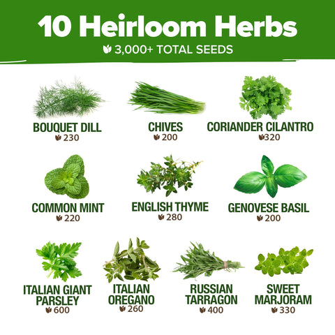 Herb Garden Seed Kit - 10 Culinary Varieties