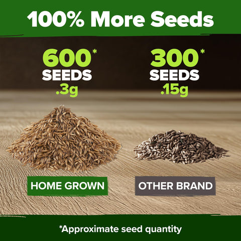 Dandelion Seeds - 600 Seeds - Edible Greens & Blooms