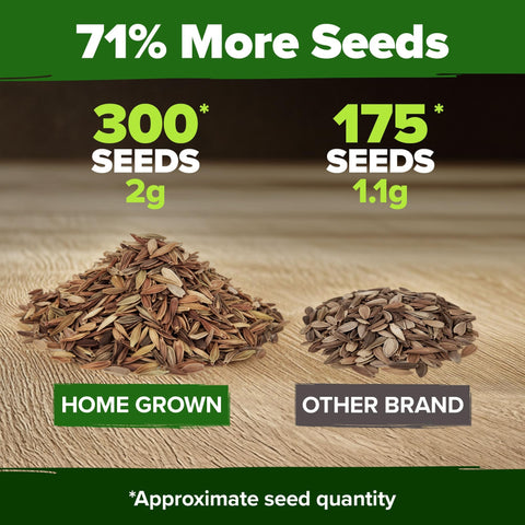Dwarf Zinnia Seeds Mix - 17,000 Seeds - Cut-and-Come-Again Blooms