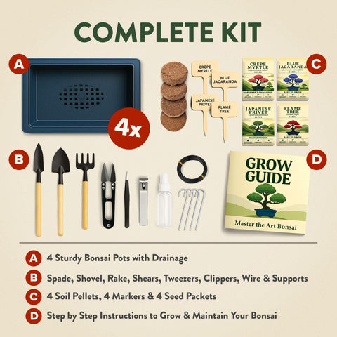 Bonsai Growing Kit - 4 Tree Varieties - Pots, Soil & Tools